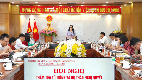 Thẩm tra tờ trình và dự thảo nghị quyết trình tại Kỳ họp thứ hai (Kỳ họp chuyên đề)