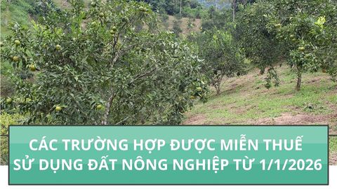Các trường hợp được miễn thuế sử dụng đất nông nghiệp đến hết năm 2030