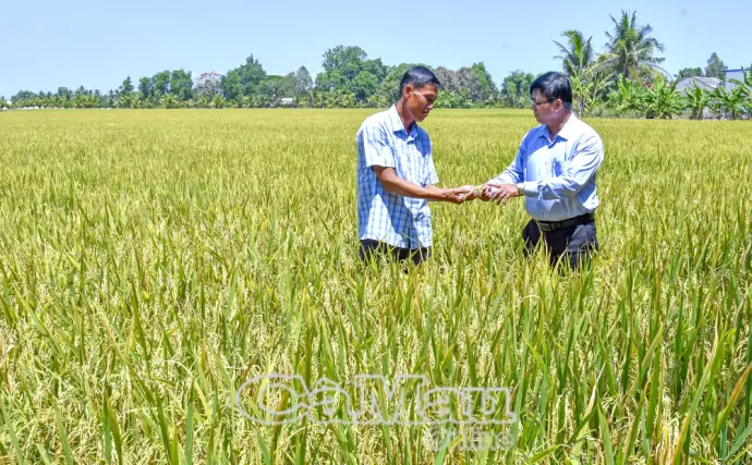 Sức mạnh lòng dân