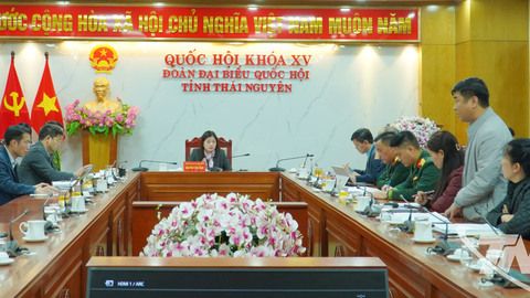 Xử lý dứt điểm hậu quả sự cố vỡ đập hồ chứa nước tại xã Nam Hòa