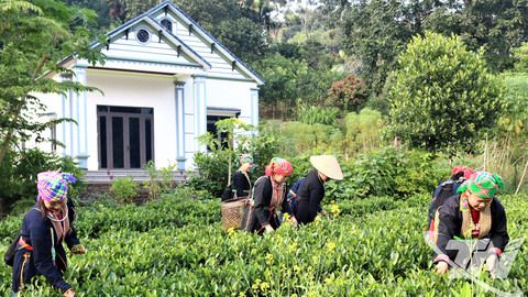 Phú Đình bứt phá từ nông thôn mới nâng cao