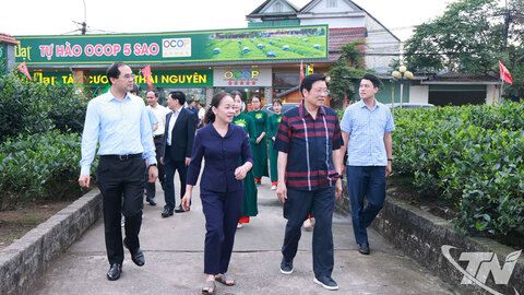 Đoàn công tác của Ban Nội chính Trung ương thăm và làm việc tại Thái Nguyên