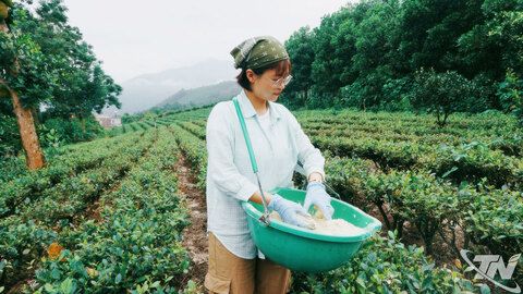 Họ là những nông dân thời đại mới: Kỳ 3: Người viết khúc biến tấu của trà