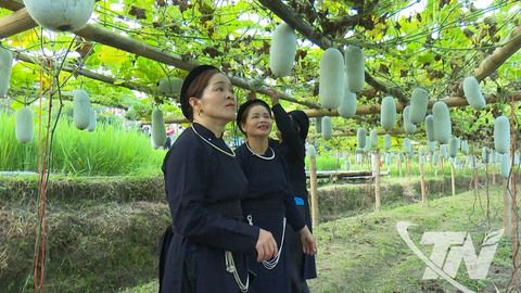 Cấp mã số vùng trồng: 'Chìa khóa' để xuất khẩu nông sản