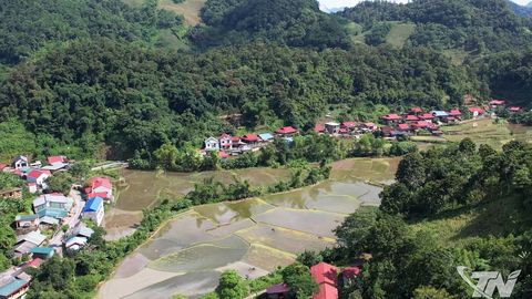 Nghiên Loan khởi sắc