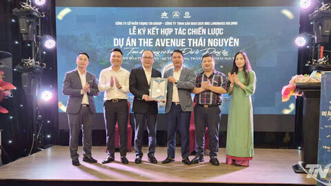 Cú hích mới cho bất động sản Thái Nguyên từ dự án The Avenue