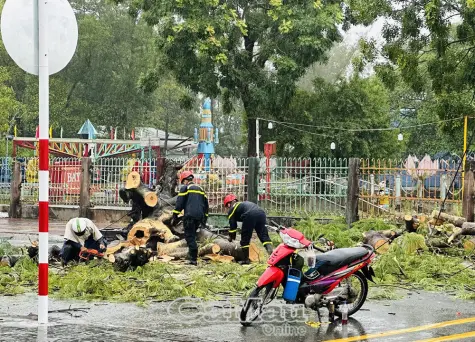 Cây cổ thụ bật gốc khiến 2 người bị thương