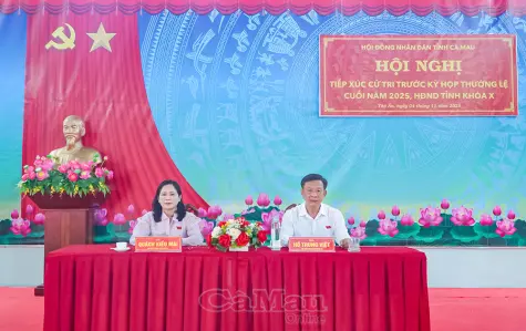 Các tổ đại biểu HĐND tỉnh Cà Mau tiếp xúc cử tri trước kỳ họp cuối năm 2025