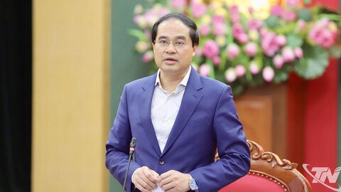 Ban Thường vụ Tỉnh ủy cho ý kiến vào 31 nội dung quan trọng về phát triển kinh tế - xã hội và xây dựng Đảng