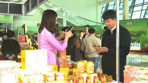 Phát triển sản phẩm OCOP: Chắt lọc tinh hoa, lan tỏa bản sắc