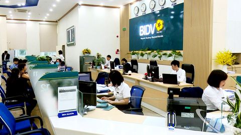 Đồng hành, trợ lực doanh nghiệp