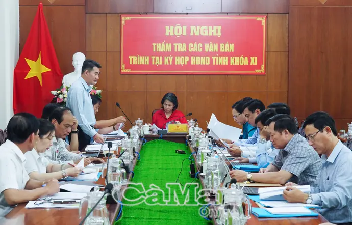 Rà soát, hoàn thiện các nghị quyết về phân bổ nguồn lực
