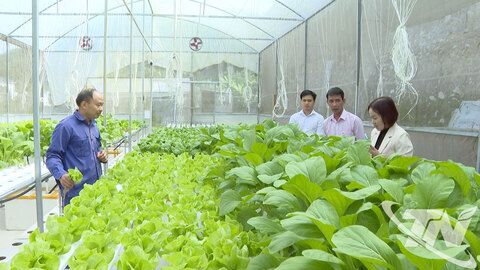 Nông dân xây dựng liên kết chuỗi trong sản xuất