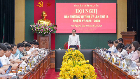Ban Thường vụ Tỉnh ủy Thái Nguyên: Xem xét, cho ý kiến vào nhiều nội dung quan trọng ở các lĩnh vực