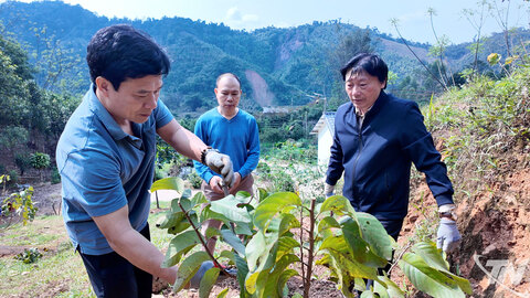 Khoa học, công nghệ - Động lực cho sản xuất ở vùng cao