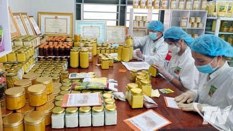 Phát triển sản phẩm OCOP từ lợi thế