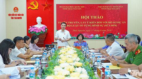 Góp ý hoàn thiện dự án Bộ luật Tố tụng hình sự (sửa đổi)