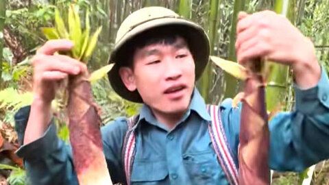 Hái lộc rừng đầu mùa