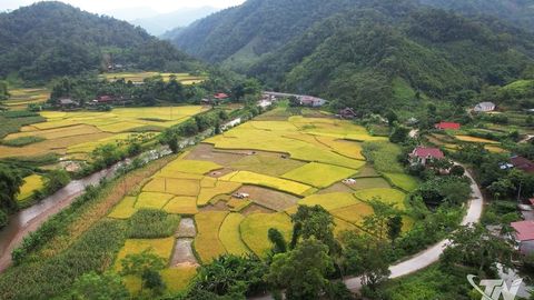 Bằng Thành: Niềm tin và khát vọng vươn lên