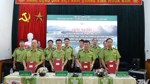 Ký Quy chế phối hợp quản lý, bảo vệ rừng vùng giáp ranh 4 tỉnh
