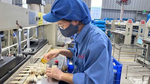 Doanh nghiệp phát triển sản xuất xanh, bền vững từ rừng