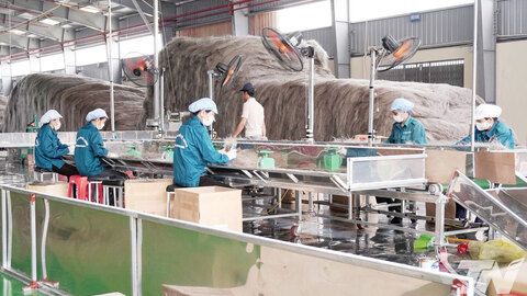 Nâng tầm sản phẩm đặc trưng