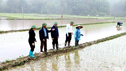 Khẩn trương xuống đồng sản xuất vụ xuân
