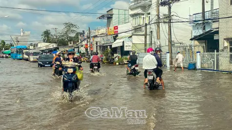 Quốc lộ 1 ngập sâu vì triều cường