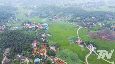 Nỗ lực giữ 'lá phổi xanh'