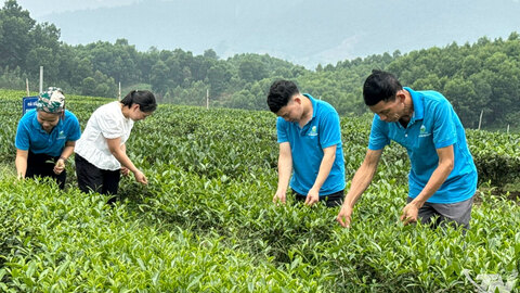 Phát huy nội lực, nâng tầm nông thôn mới