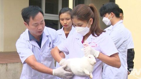 Mở lối việc làm cho thanh niên nông thôn