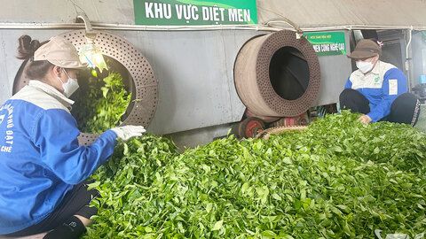 Thái Nguyên tổ chức lại Quỹ Hỗ trợ phát triển hợp tác xã