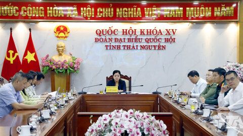 Phiên họp trực tuyến về chính sách nhà ở và thị trường bất động sản