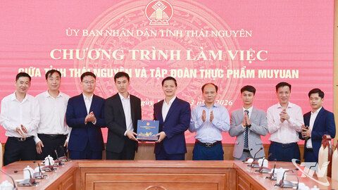 Tập đoàn Muyuan Foods nghiên cứu triển khai dự án chăn nuôi công nghệ cao tại Thái Nguyên