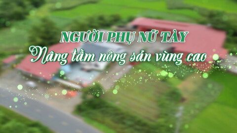 Người phụ nữ Tày nâng tầm nông sản vùng cao