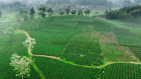Để chính sách thành động lực phát triển du lịch