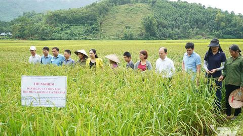 Phát huy hiệu quả chương trình giảm nghèo