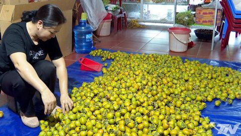 'Tấm vé thông hành' cho đặc sản địa phương