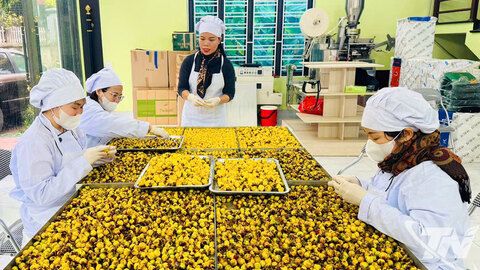 Sản phẩm OCOP: Nâng tầm giá trị truyền thống