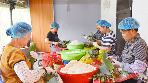 Phát triển sản phẩm OCOP từ tài nguyên bản địa