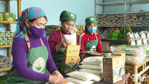 Sản phẩm OCOP dẫn dắt xu hướng tiêu dùng