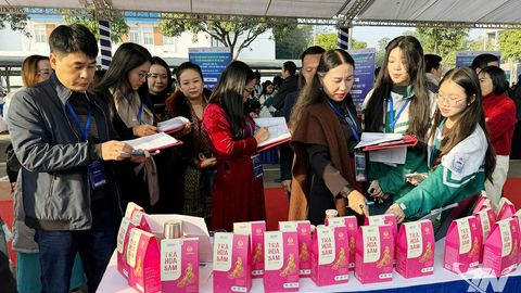 Khơi dậy tinh thần khởi nghiệp cho học sinh THPT