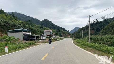 Ban QLDA đầu tư xây dựng công trình giao thông và nông nghiệp phía Bắc: Vượt khó để hoàn thành mục tiêu