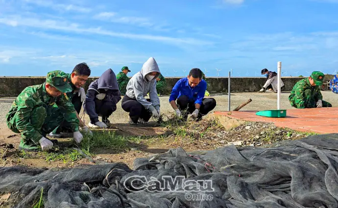 Vì một Cà Mau xanh