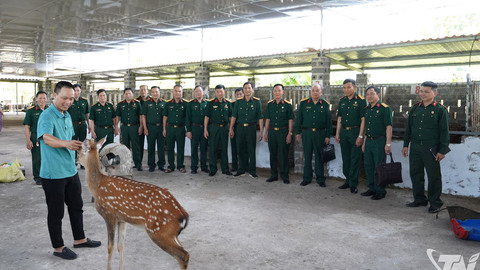 Tham quan mô hình nuôi hươu tiêu biểu của cựu chiến binh Thái Nguyên