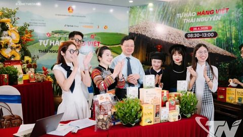 Hướng đi mới từ cây sâm Bố Chính