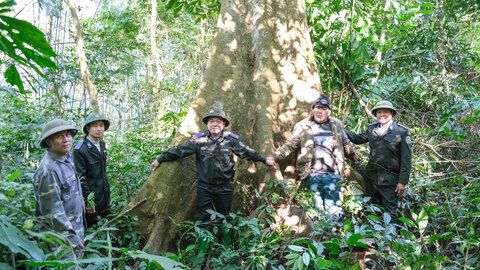 Giữ rừng, đón xuân giữa đại ngàn Thần Sa