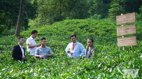 Cuộc hội ngộ của người trẻ