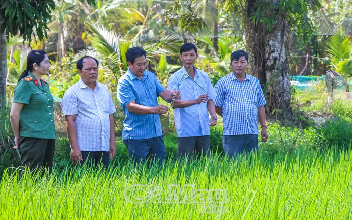 Nâng cao năng lực quản trị cho cán bộ cơ sở