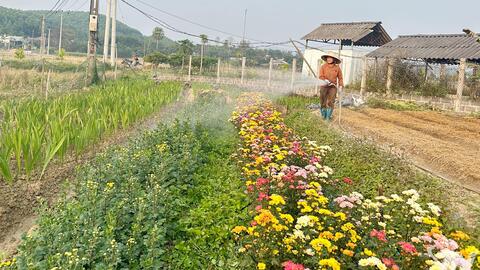 Yên Trạch phát huy lợi thế nông, lâm nghiệp